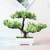 Bonsai Artificial - comprar online