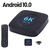 Android 10.0 TV BOX 6K Voice Assistant 3D 4K 1080P Video TV receiver Wifi 2.4G&a