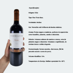 Terraced Malbec - Vinho Fino Tinto Seco - 750ml / 2020 / Chile - comprar online