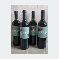 Alario Malbec - Vinho Fino Tinto Seco - 750ml / 2019 / Argentina - LTM Vinhos & Espumantes