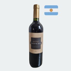 Puente Sur Malbec - Vinho Fino Tinto Meio Seco - 750ml / 2019 / Mendonza/Argentina