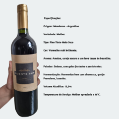 Puente Sur Malbec - Vinho Fino Tinto Meio Seco - 750ml / 2019 / Mendonza/Argentina - comprar online