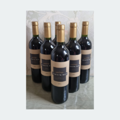 Puente Sur Malbec - Vinho Fino Tinto Meio Seco - 750ml / 2019 / Mendonza/Argentina - LTM Vinhos & Espumantes