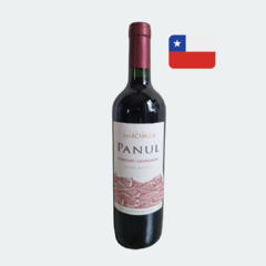 Panul Viñedos Marchigue - Cabernet Sauvignon - Vinho Fino Tinto Seco - 750ml / 2019 / Chile