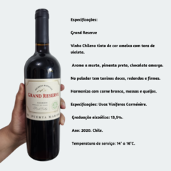 Grand Reserve Puerta Mar Carménère - Vinho Fino Tinto Meio Seco – 750ml / 2020 / Chile - comprar online