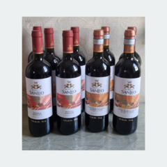 Borgo Sanleo Montepulciano D'abruzzo - Vinho Fino Tinto Seco - 750ml / 2020 / Itália - LTM Vinhos & Espumantes