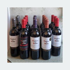 Casillero Del Diablo Merlot Reserva Concha Y Toro - Vinho Fino Tinto Seco - 750ml / 2020 / Chile - LTM Vinhos & Espumantes