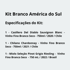 Kit Branco América do Sul (Casillero, Miolo Seleção, Chilano) - comprar online