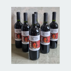 Almena Del Sur Reserva Tannat - Vinho Fino Tinto Seco - 750ml / 2020 / Uruguai - LTM Vinhos & Espumantes