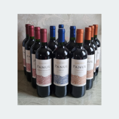 Panul Viñedos Marchigue - Cabernet Sauvignon - Vinho Fino Tinto Seco - 750ml / 2019 / Chile - LTM Vinhos & Espumantes