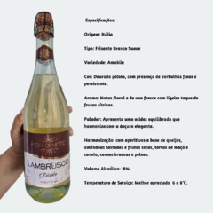 Espumante Fior Di Note Lambrusco Bianco - Frisante Branco Suave - 750ml / Itália - comprar online