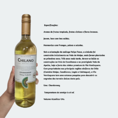 Chilano Chardonnay - Vinho Fino Branco Seco - 750ml / 2021 / Chile - comprar online