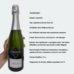 Espumante Omnium Viniterra - Branco Demi Sec - 750ml / 2021 / Mendonça-Argentino - comprar online