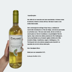 Kit Chile Misto 2 (Chilano Red Blend - Tinto, Chilano - Branco, La Moneda Reserva 2018 - Rosé) - LTM Vinhos & Espumantes