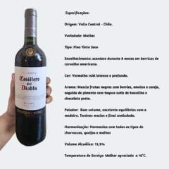 Casillero Del Diablo Malbec Reserva Concha Y Toro - Vinho Fino Tinto Seco - 750ml / 2021 / Chile - comprar online