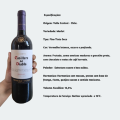 Casillero Del Diablo Merlot Reserva Concha Y Toro - Vinho Fino Tinto Seco - 750ml / 2020 / Chile - comprar online