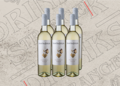 SANTA JULIA CHENIN DULCE 750ML - CAJA x6