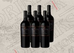 TRUMPETER MALBEC 750ML - CAJA x6