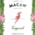Casa Perini Macaw - Frisante Rosé - comprar online