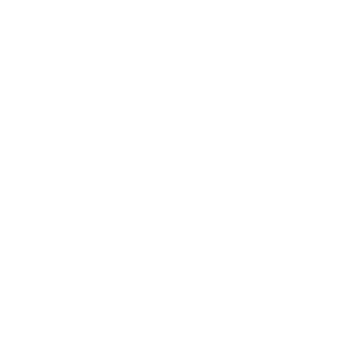 zuecos