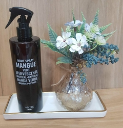 Home Spray Mangue Vert na internet