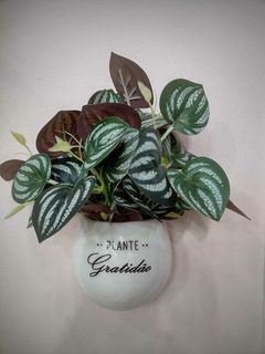 ADORNO DE CERAMICA PLANTE GRATIDÃO na internet