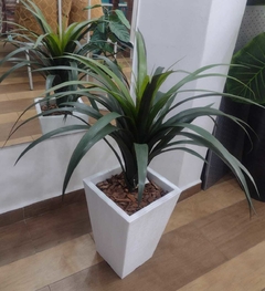 Arranjo Dracena - comprar online