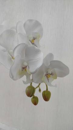 Arranjo Orquídea Branca - comprar online