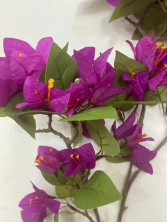 Haste Bougainville - comprar online