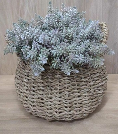 Cesta Decorativa em Rattan