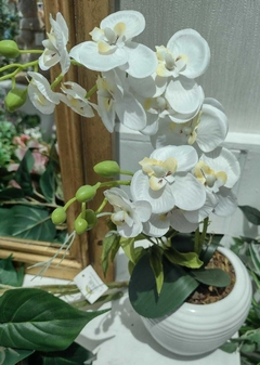 Arranjo Orquidea - comprar online