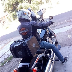 Mala Traseira Harley Custom Hd Tour Pak / Sissy Bar - loja online