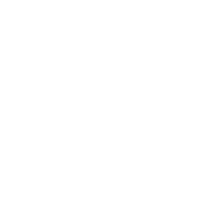 Rolamentos e serviços F1 in Schools | SPINAX STEM