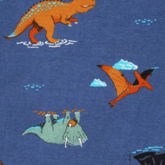 SET 5 BODIES CARTER'S "DINOS" - tienda online