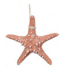 ENFEITENATAL ESTRELA DO MAR (TERRACOTA) 16cm