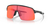 OC. SOL OAKLEY SUTRO LITE - comprar online