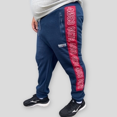 Calça Moletom Masculina Plus Size Punho Elástico Flanelada na internet