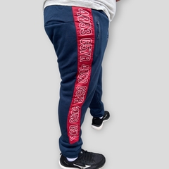 Calça Moletom Masculina Plus Size Punho Elástico Flanelada - comprar online