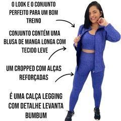 Conjunto Academia Calça Legging Blusa e Top Fitness Feminina - comprar online