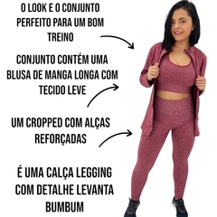 Conjunto Academia Calça Legging Blusa e Top Fitness Feminina - comprar online