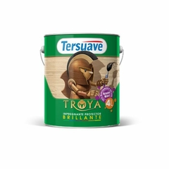 TROYA IMPREGNANTE PROTECTOR BRILLANTE TERSUAVE