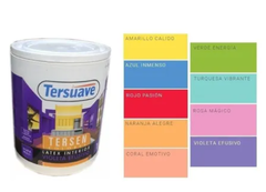 TERSEN VIOLETA EFUSIVO 4 LT.