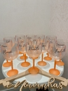 Imagem do Taças Gin Bicolor Personalizadas