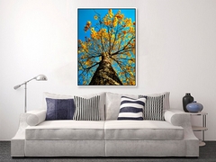 Ipê Amarelo com céu azul: Canvas Tela Fine Art 60x80 cm Vertical SOB ENCOMENDA - comprar online
