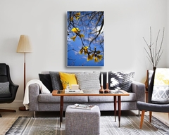 Ipê Amarelo e céu azul: Canvas Tela Fine Art 60x90 cm SOB ENCOMENDA - comprar online