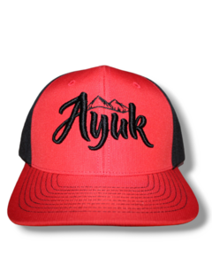 GORRAS SNAPBACK PERFORADAS en internet