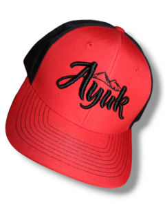 GORRAS SNAPBACK PERFORADAS - comprar en línea