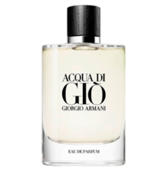 Acqua Di Giò Homme Giorgio Armani - Perfume Masculino - Eau de Toilette