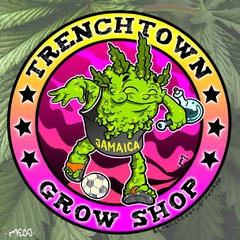 DISEÑO DE CAPSULA - TRENCHTOWN GROWSHOP - mecoarts