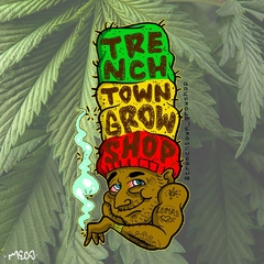 DISEÑO DE CAPSULA - TRENCHTOWN GROWSHOP - comprar online